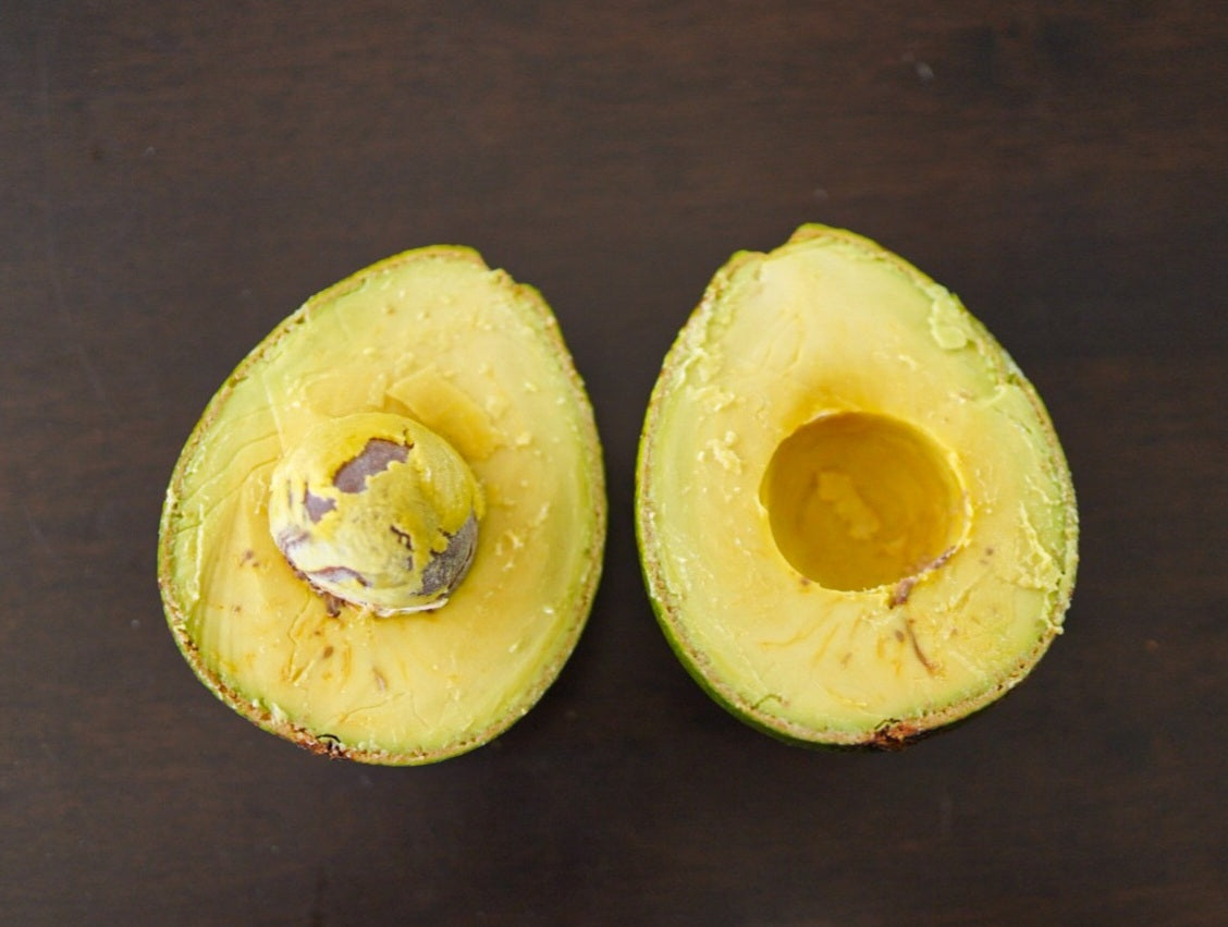 Avocado - Hopkins - summer/autumn ripening flyingdragonnursery