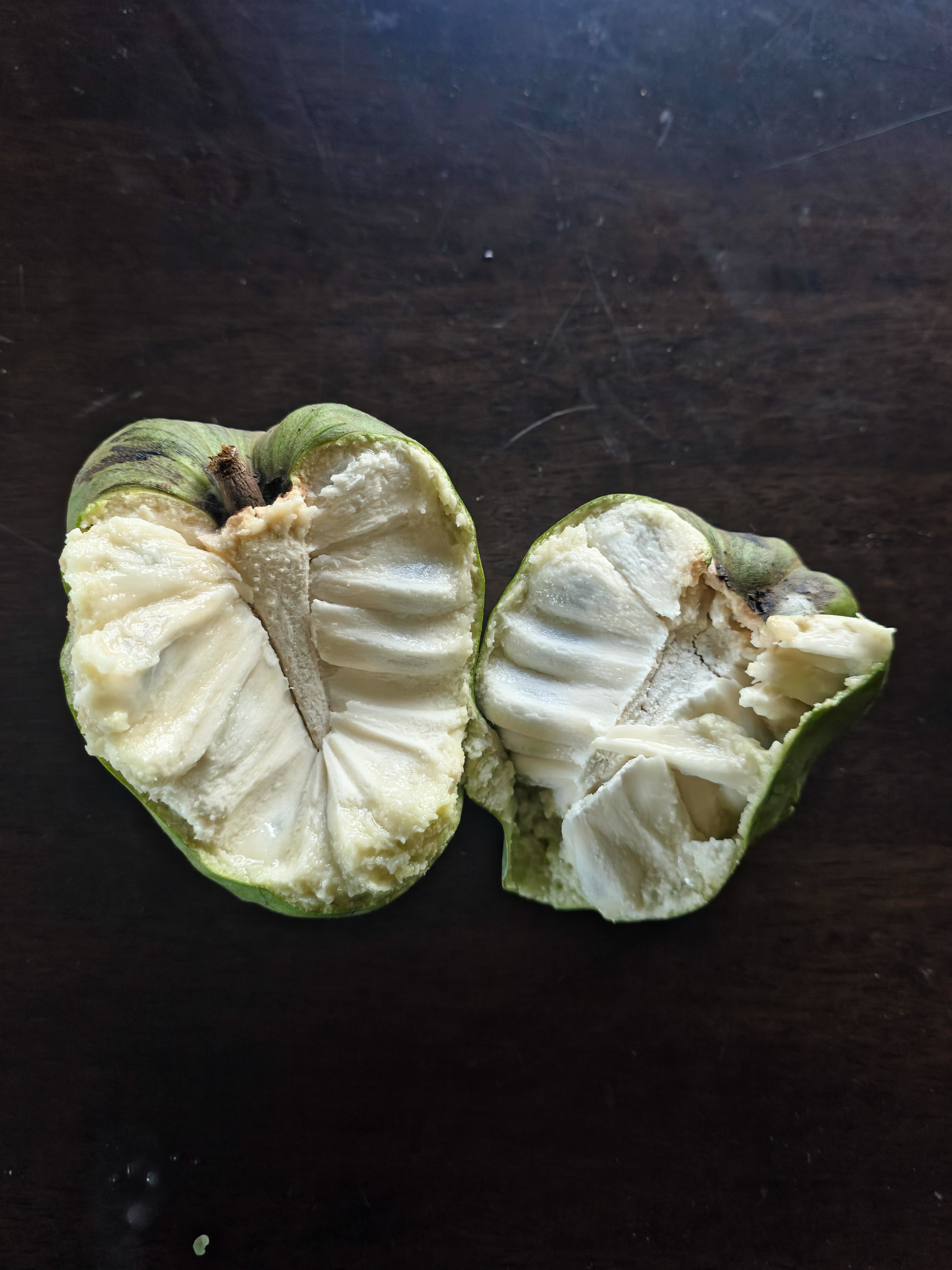 Cherimoya (Custard Apple) - Jack - Grafted