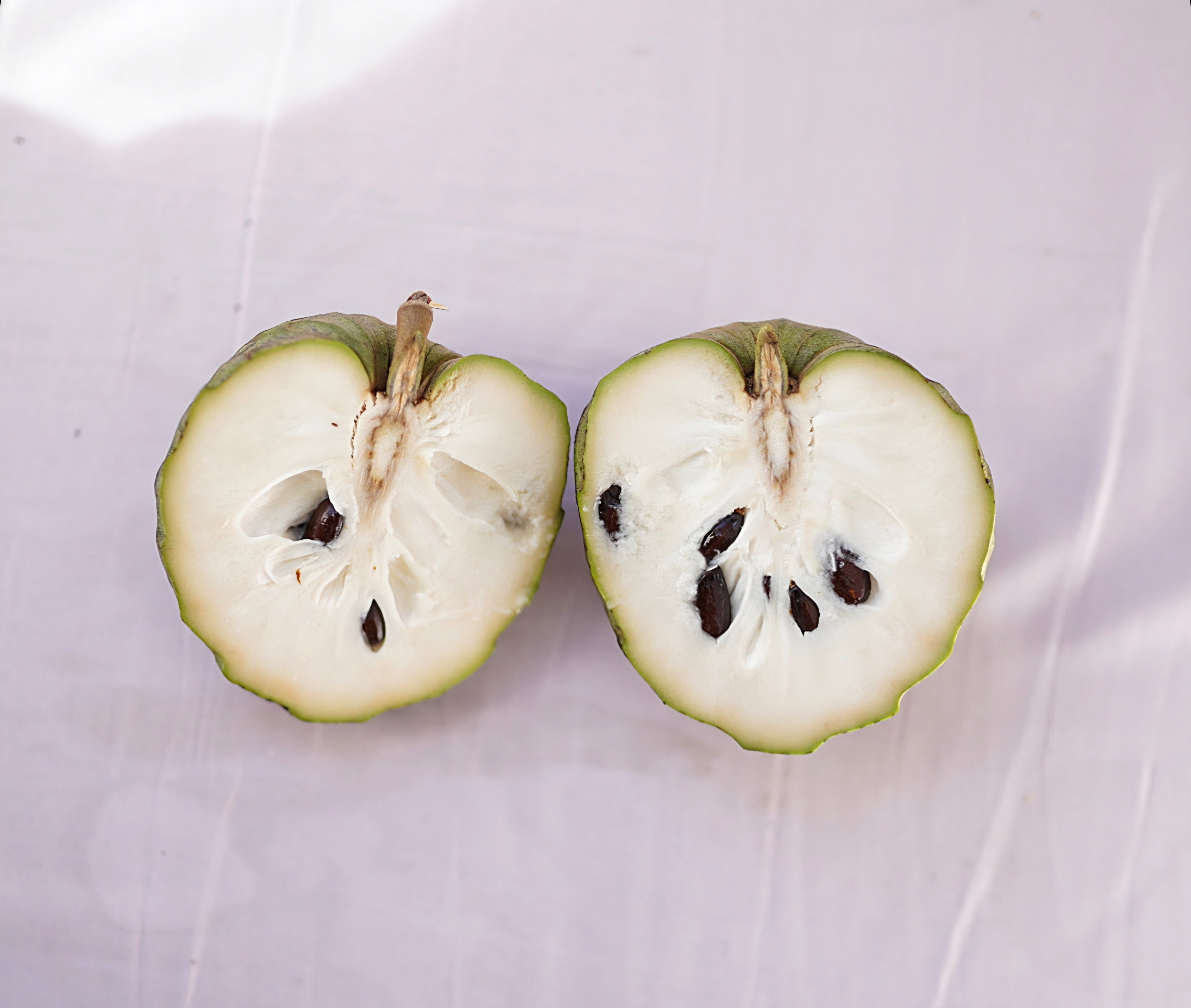 Cherimoya - Rex flyingdragonnursery