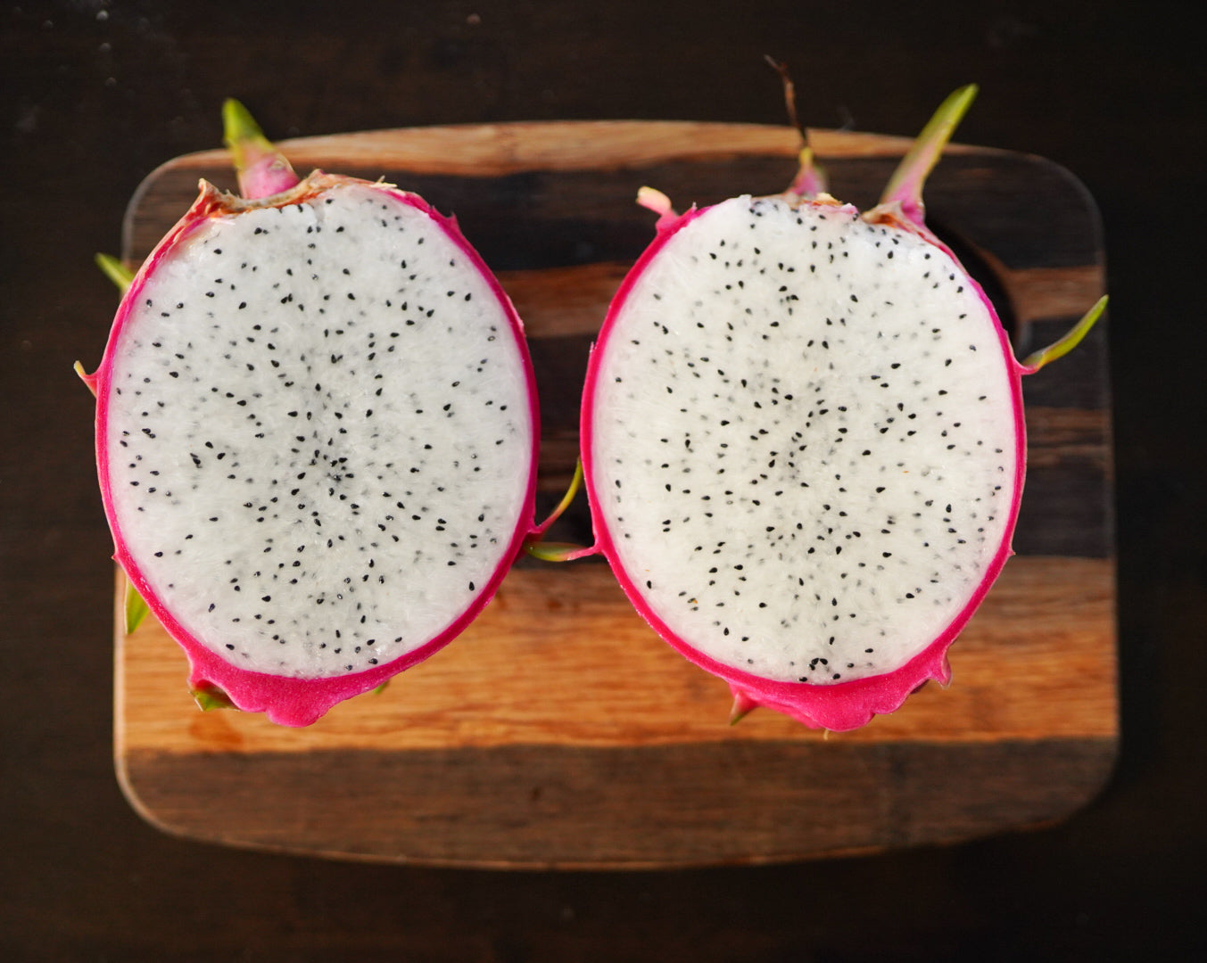 DRAGONFRUIT - White (Rooted in a pot) flyingdragonnursery
