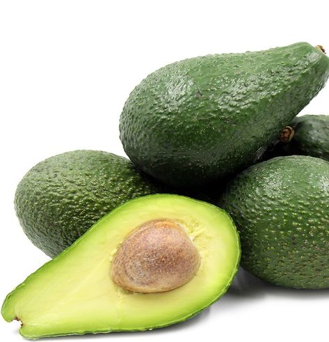 Avocado - Pinkerton Semi Dwarf - flyingdragonnursery