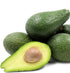 Avocado - Pinkerton Semi Dwarf - flyingdragonnursery