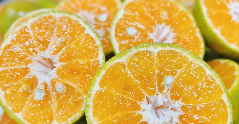 Lime - Calamansi - flyingdragonnursery