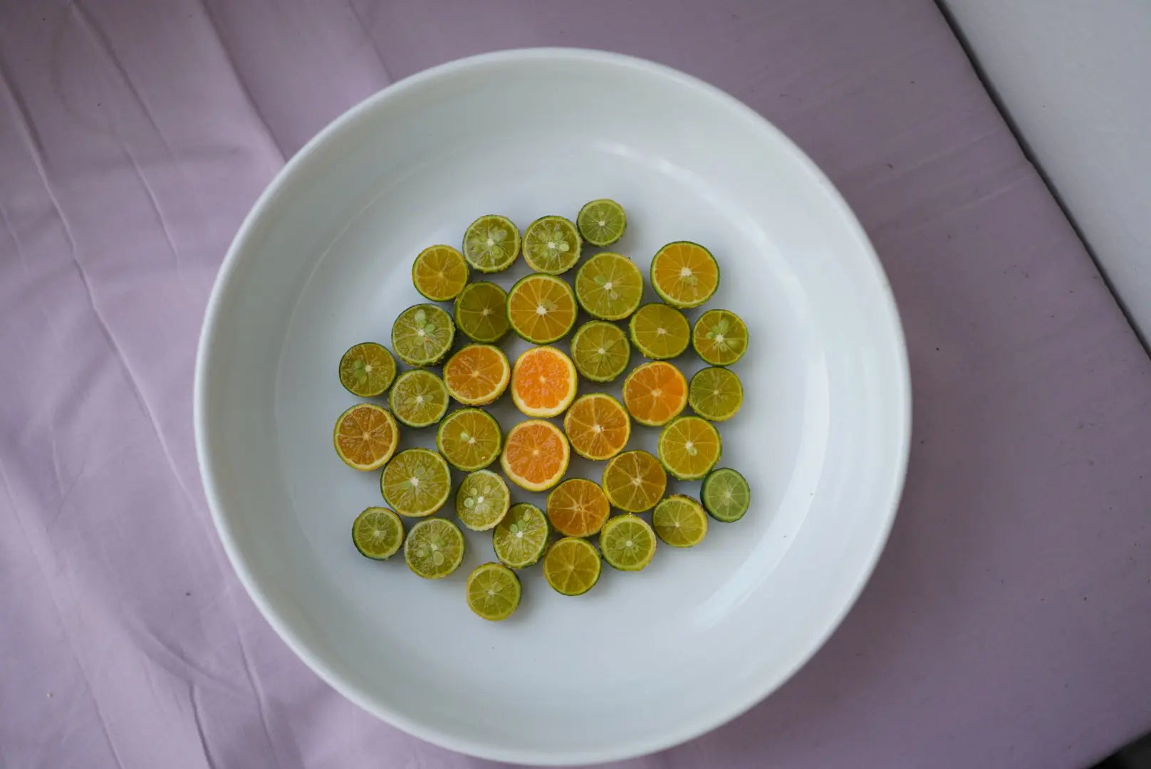 Lime - Calamansi - flyingdragonnursery