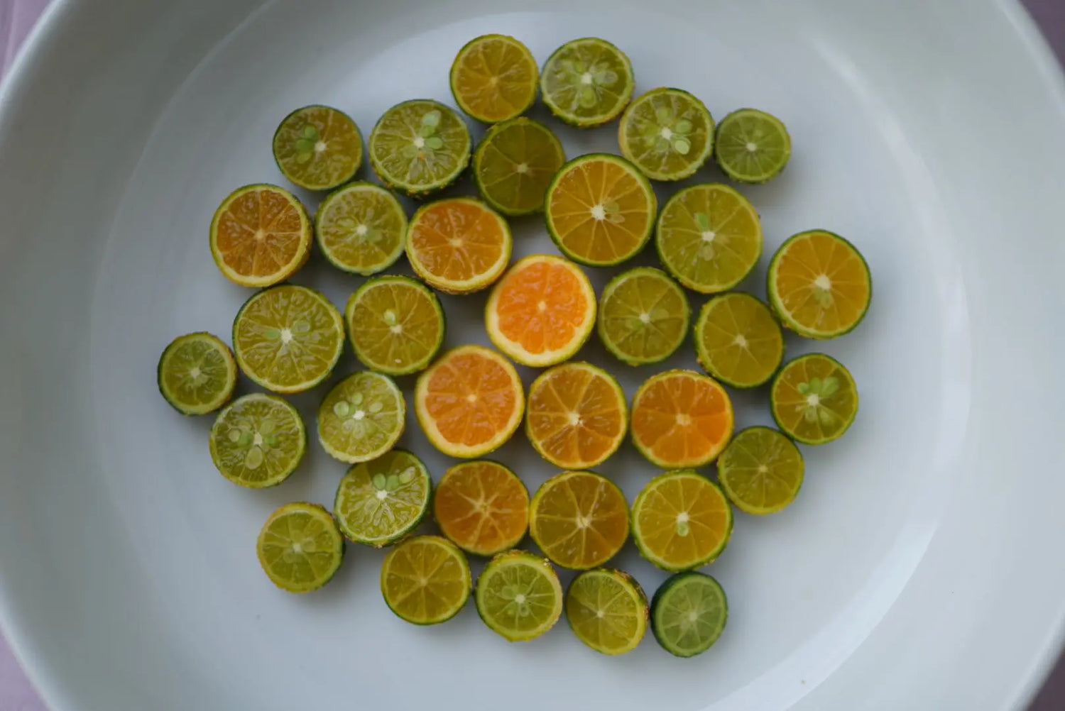 Lime - Calamansi - flyingdragonnursery