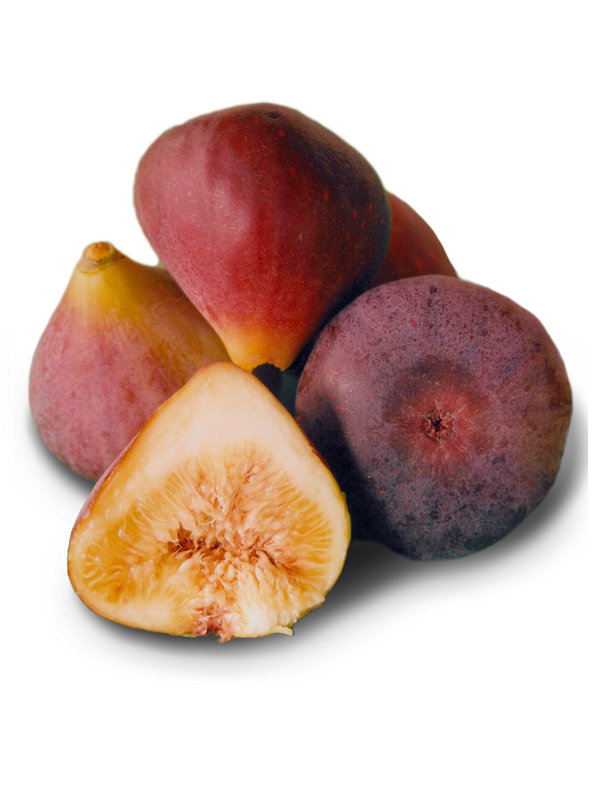 Fig - Mrs Williams - flyingdragonnursery