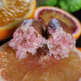 Finger Lime - Brown - Grafted - flyingdragonnursery