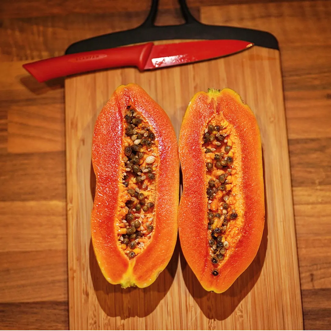 Papaya - Red Lady dwarf - flyingdragonnursery