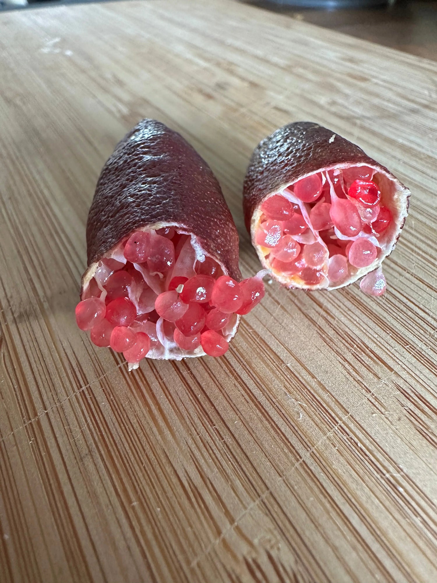 Finger Lime - Brown - Grafted - flyingdragonnursery