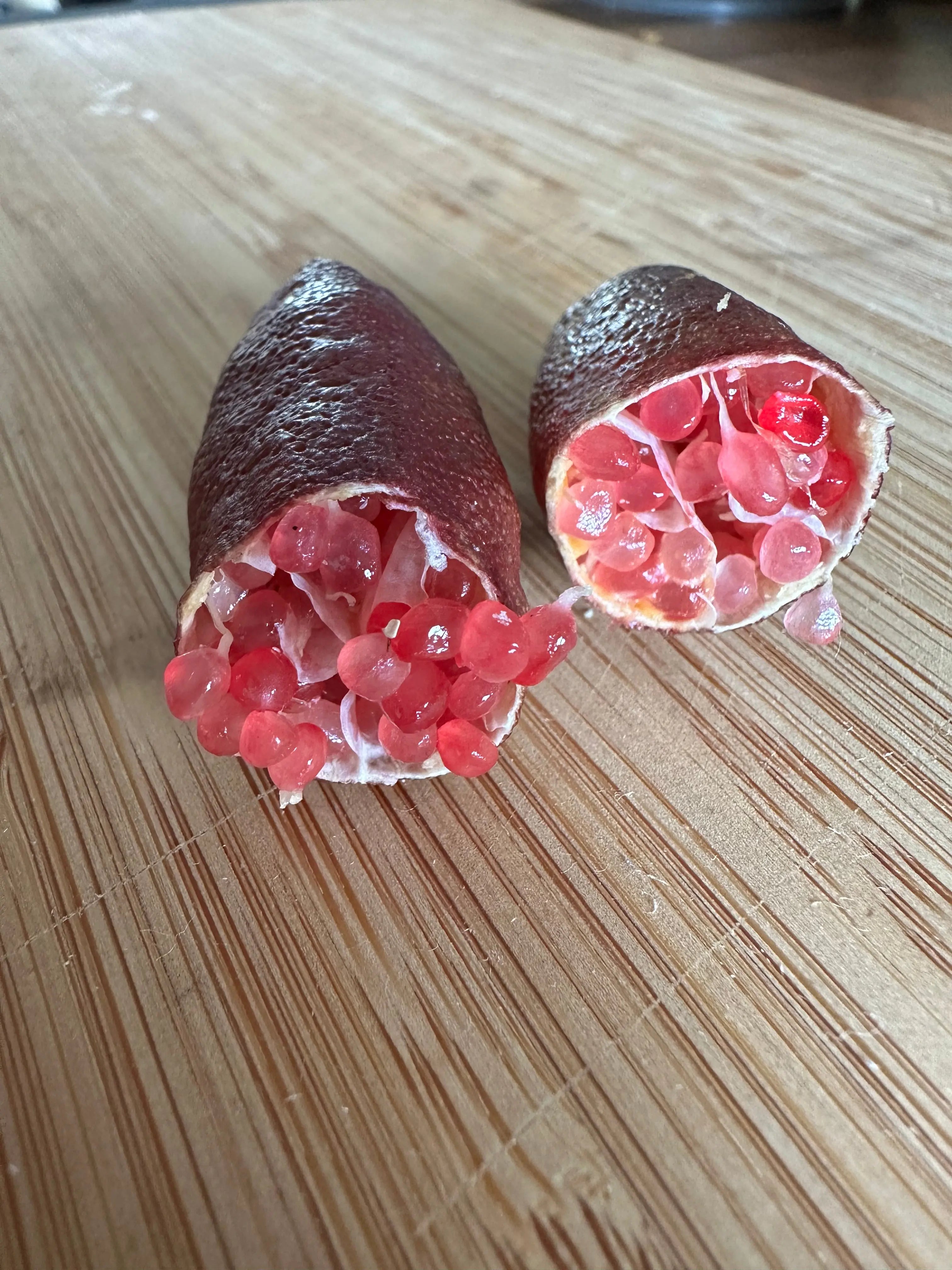 Finger Lime - Brown - Grafted - flyingdragonnursery