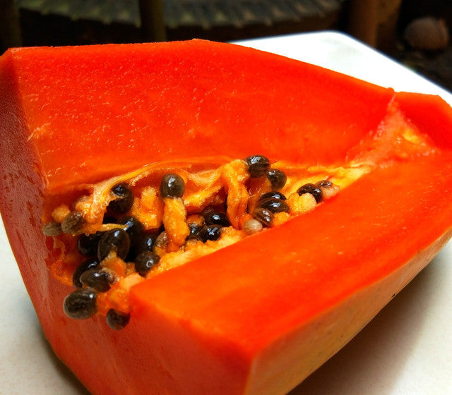 Papaya - Red Lady dwarf - flyingdragonnursery