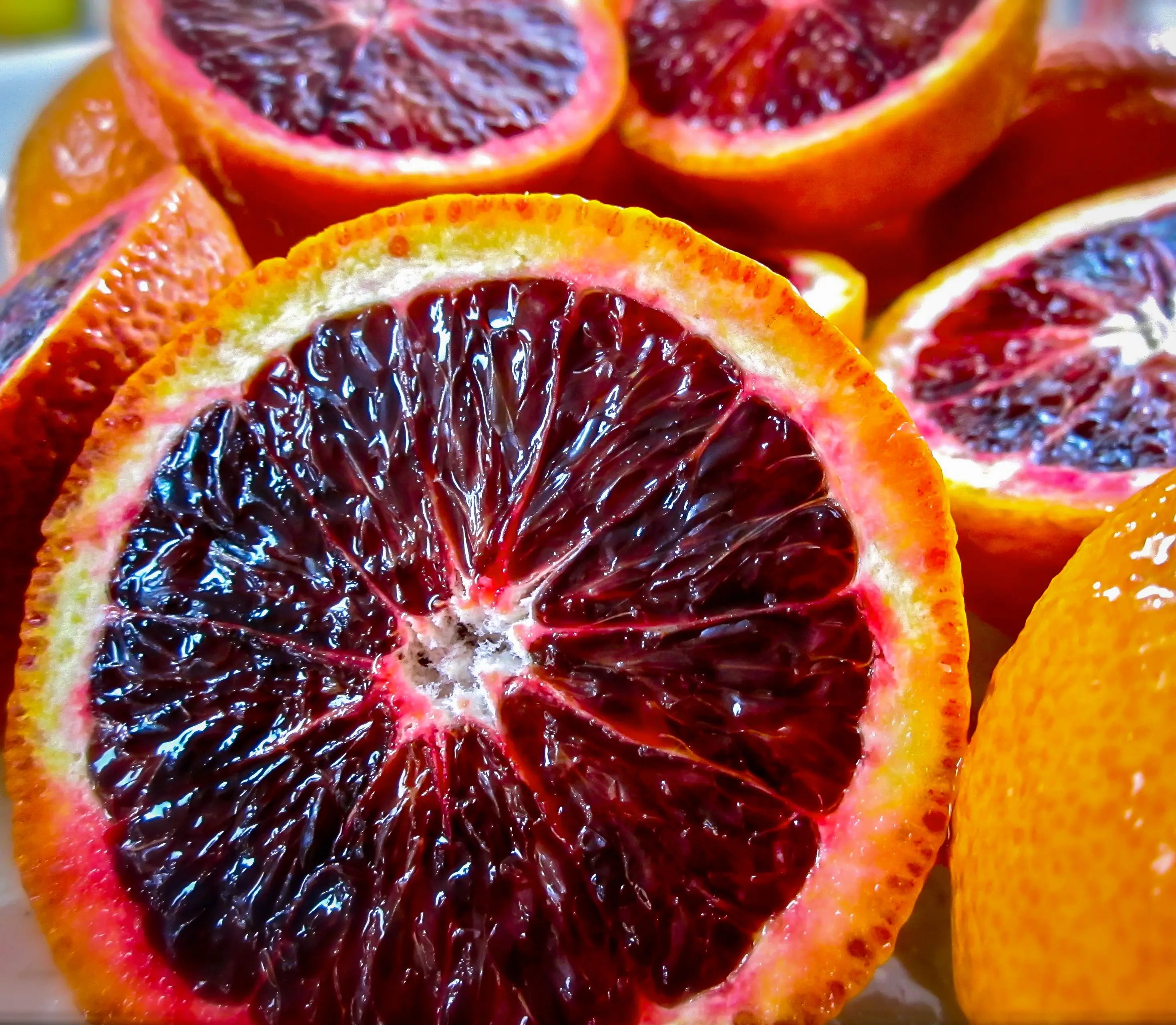 Blood Orange - Moro - flyingdragonnursery
