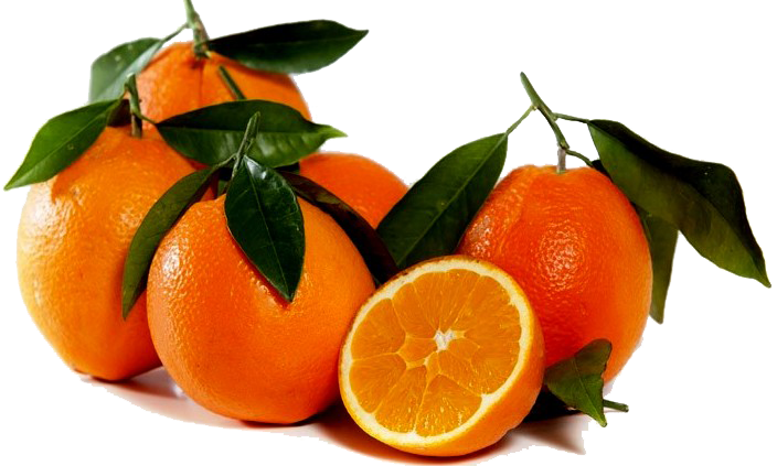 Orange - Navelina - flyingdragonnursery
