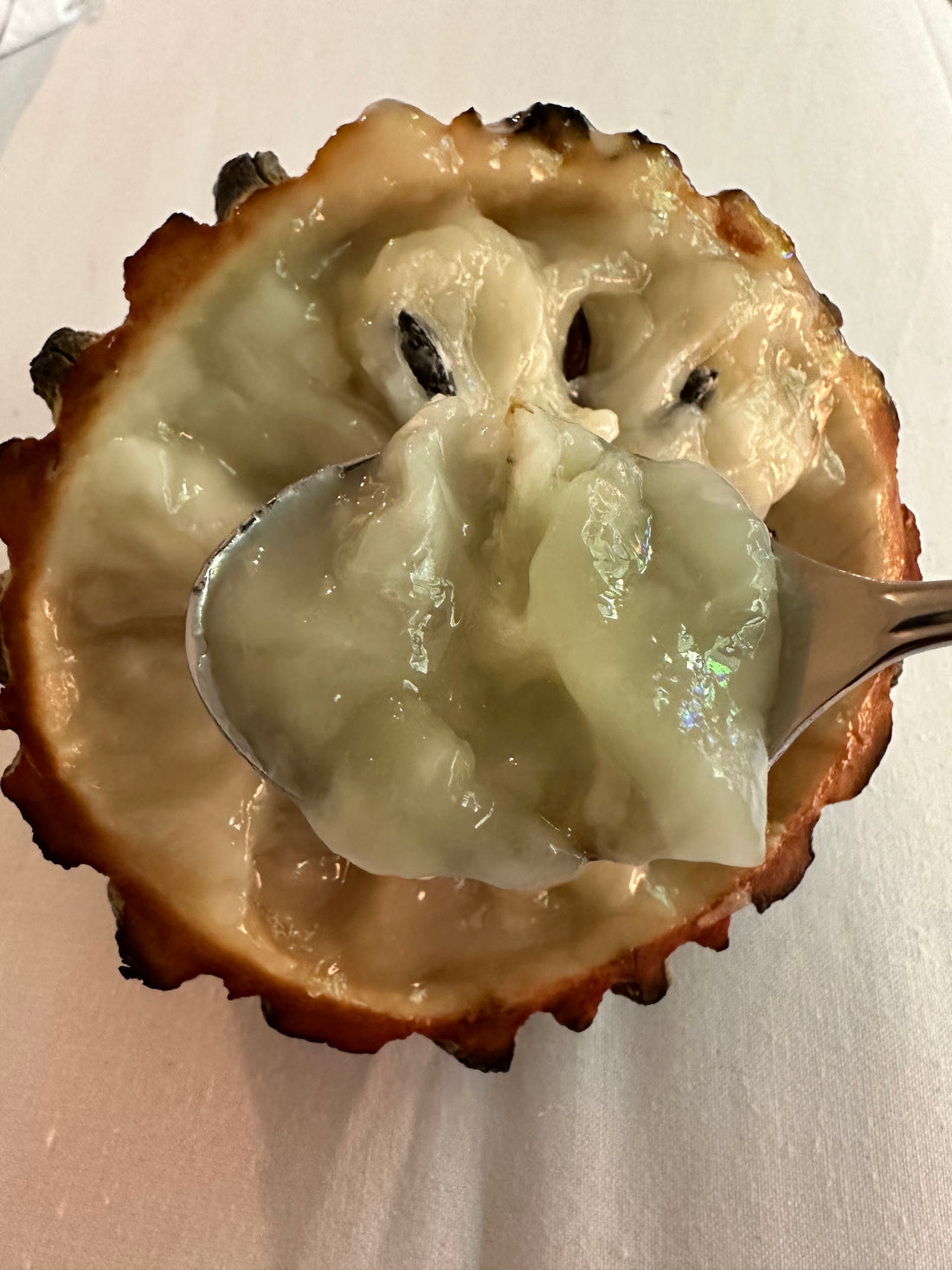 Rollinia Deliciosa, Biribá (Lemon meringue pie fruit)