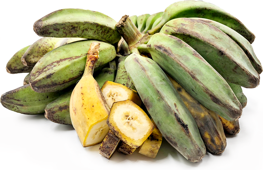 Banana -  Saba Plantain