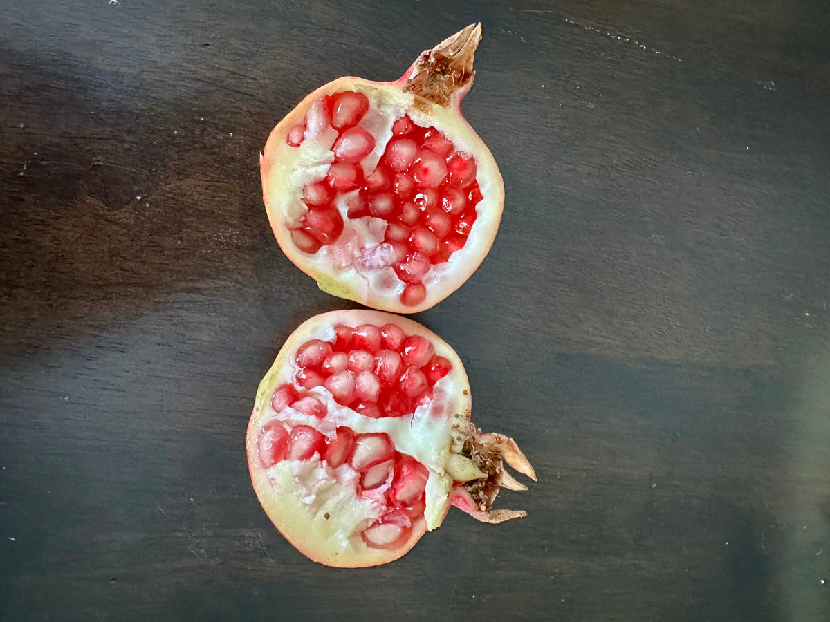 Dwarf Pomegranate - Nana