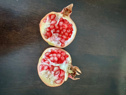 Dwarf Pomegranate - Nana