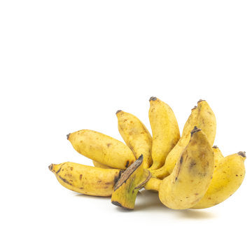 Banana - High Noon (Dessert Banana) flyingdragonnursery