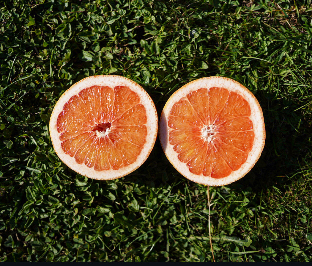 Grapefruit - Star Ruby flyingdragonnursery