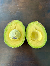 Avocado - Esther Semi Dwarf - Autumn/winter ripening flyingdragonnursery