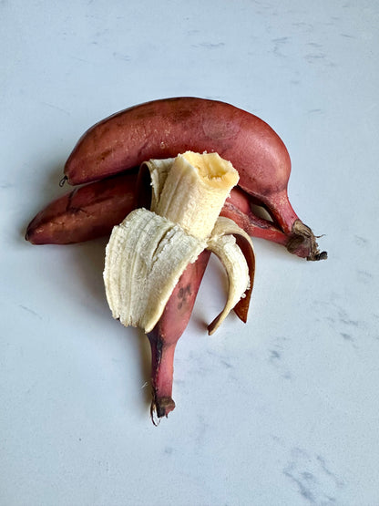 Banana - Red Dacca (super rare)