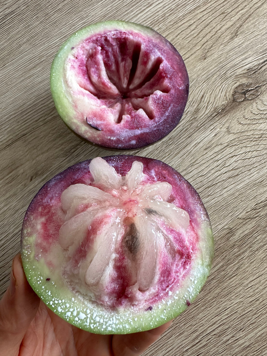 Purple Star Apple