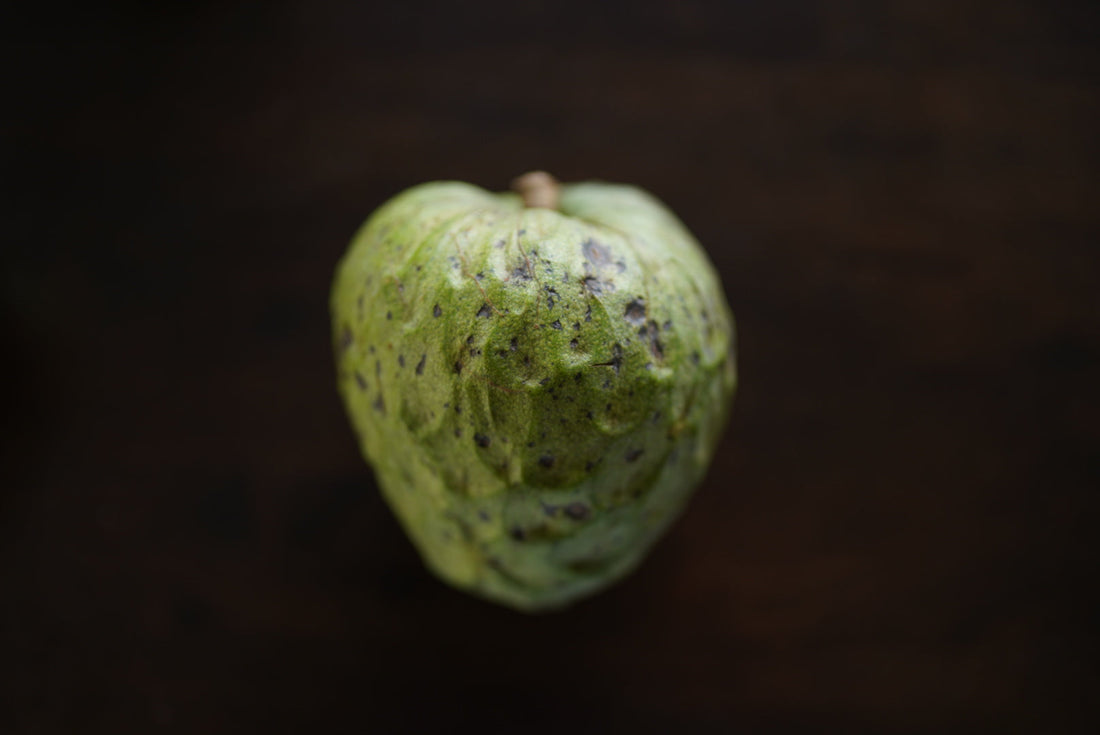 Cherimoya (Custard Apple) - Wookie - Grafted flyingdragonnursery