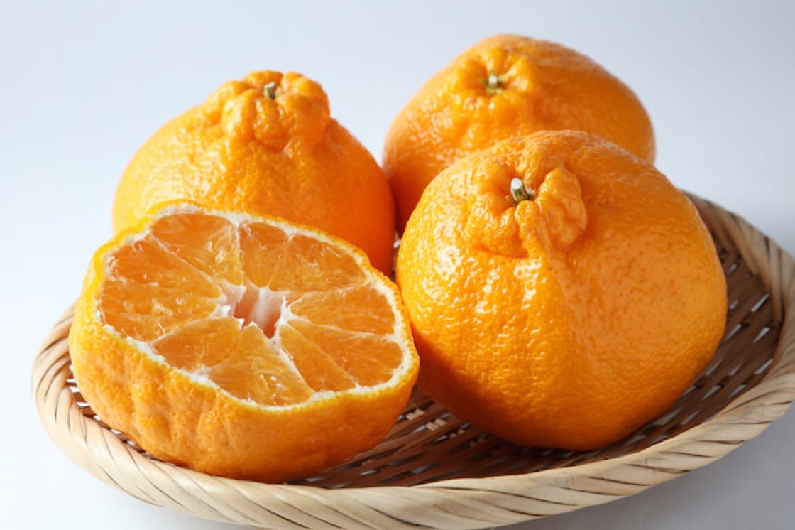 Mandarin - Ellendale