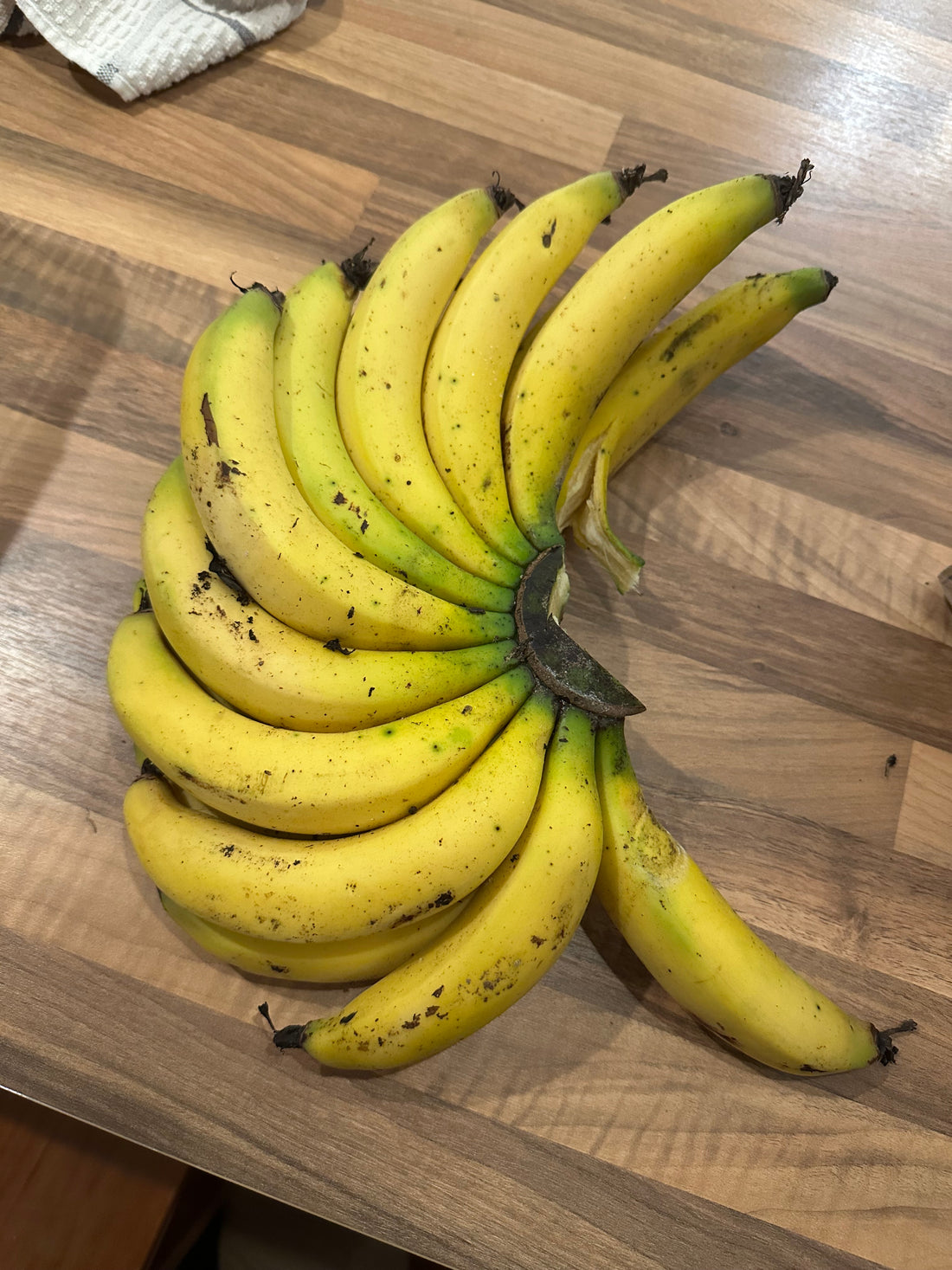 Banana - Dwarf Mons Mari