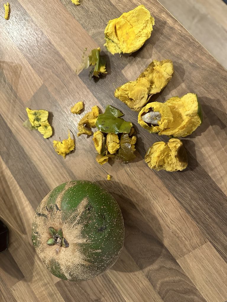 Lucuma - Montalban flyingdragonnursery