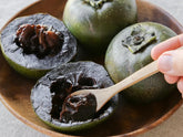 Chocolate Pudding Fruit (Black Sapote) - flyingdragonnursery