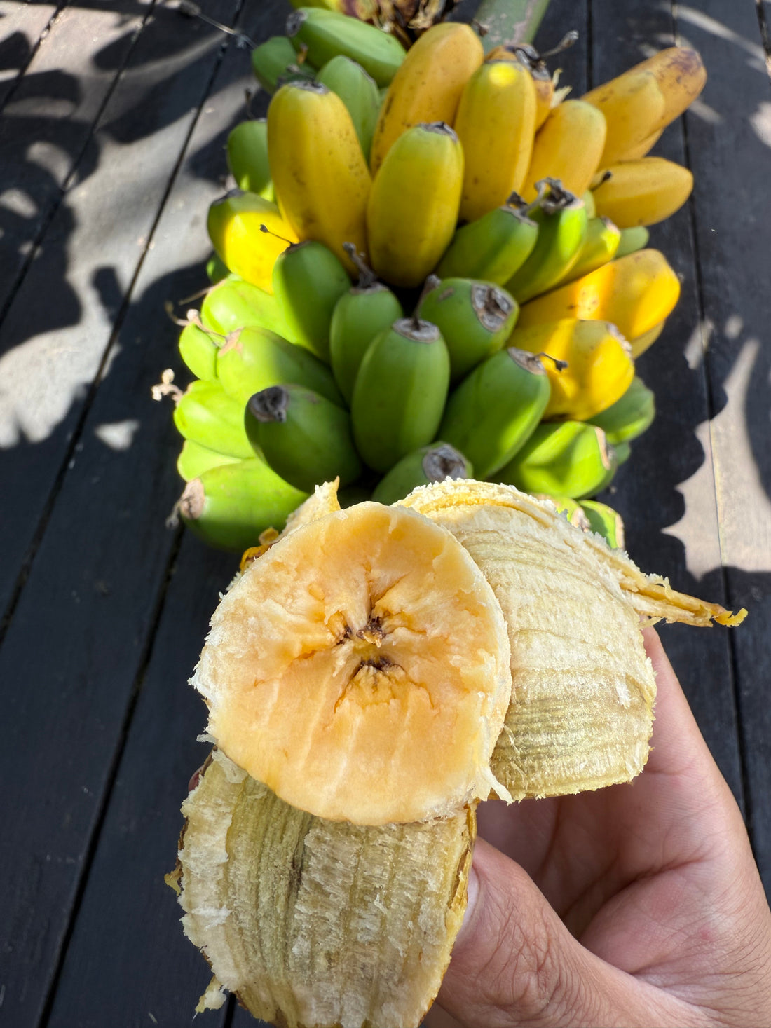 Banana - Hopa