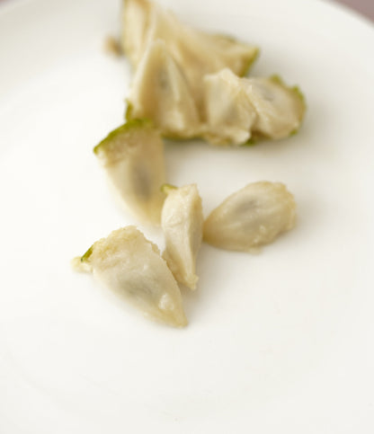 Cherimoya (Custard Apple) - Jack - Grafted