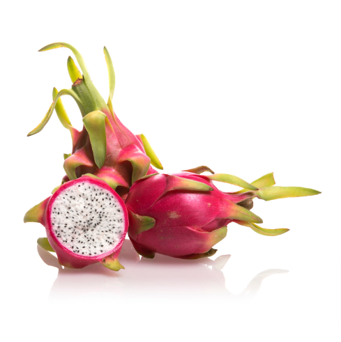 DRAGONFRUIT - White (Rooted in a pot)