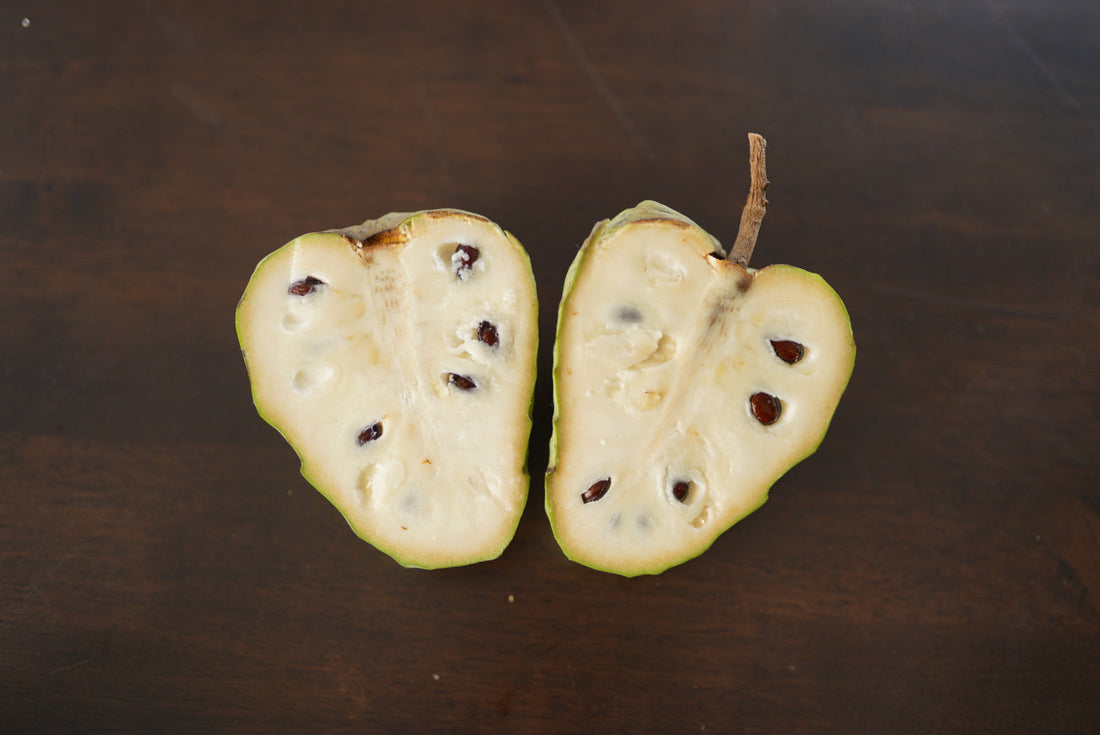 Cherimoya- fe5 flyingdragonnursery