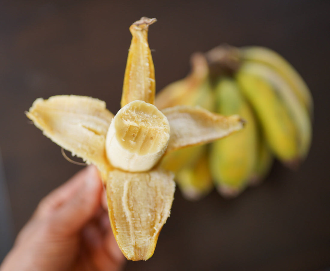 Banana - Misi Luki flyingdragonnursery