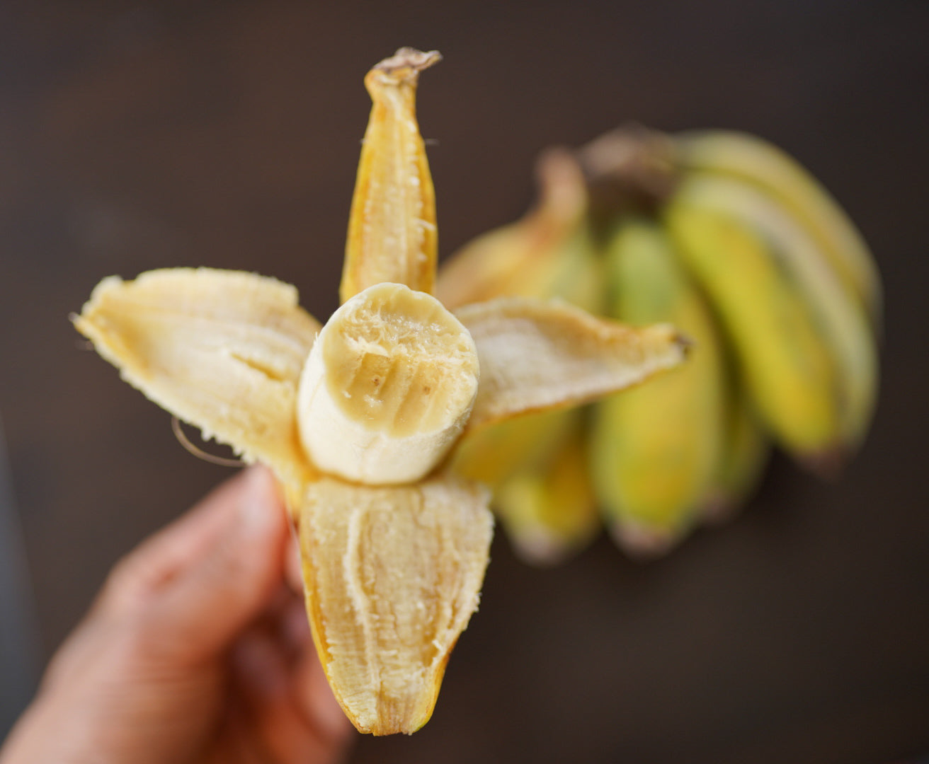 Banana - Misi Luki
