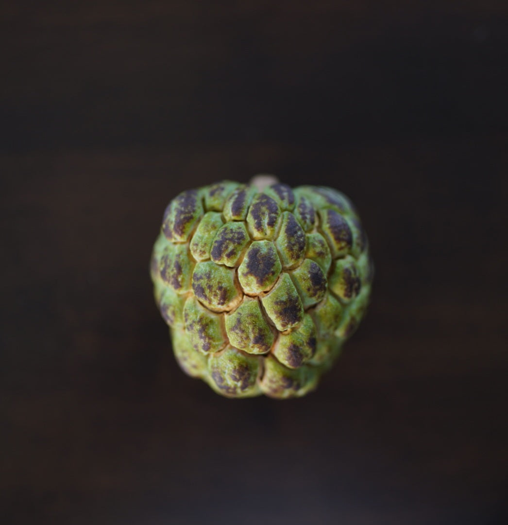 Sugar Apple -  Green