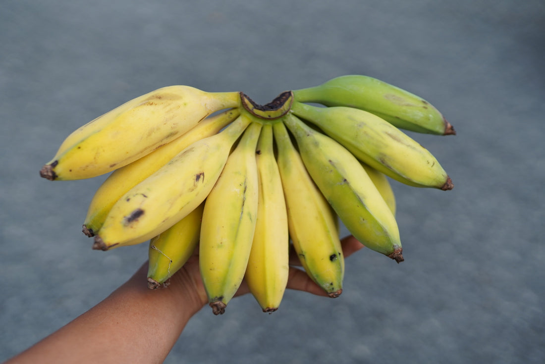 Banana - Hamoa