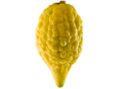 Etrog citron