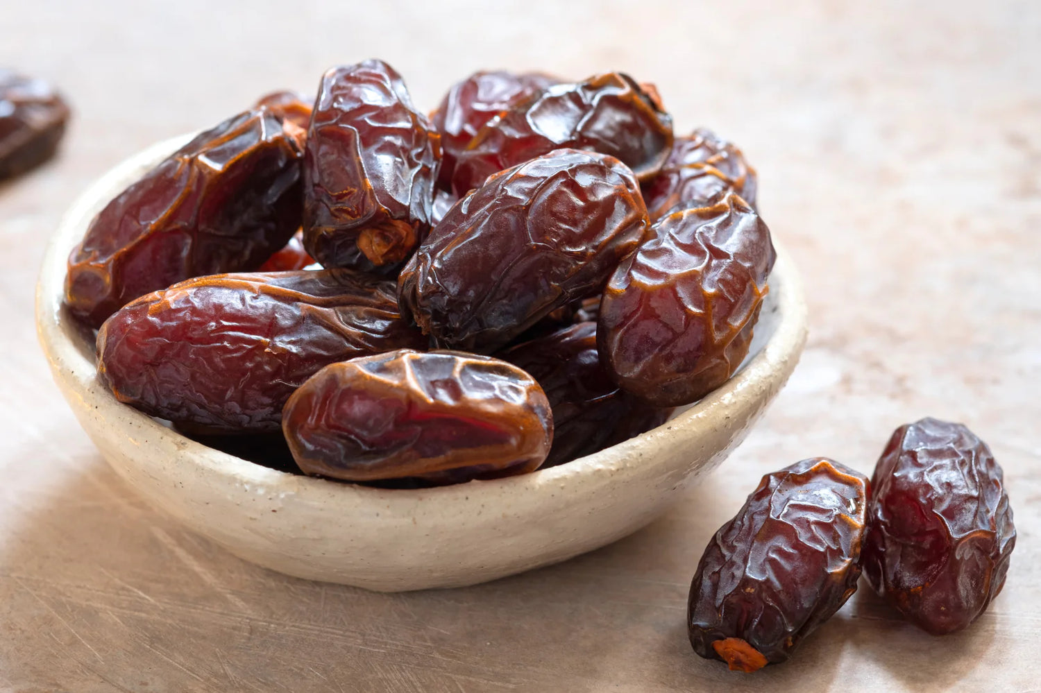 Medjool Date Palm