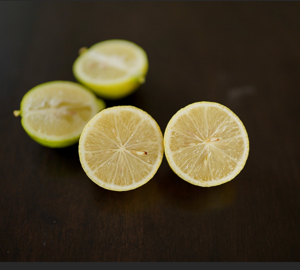 Lemon/Lime - Perrine (rare) flyingdragonnursery