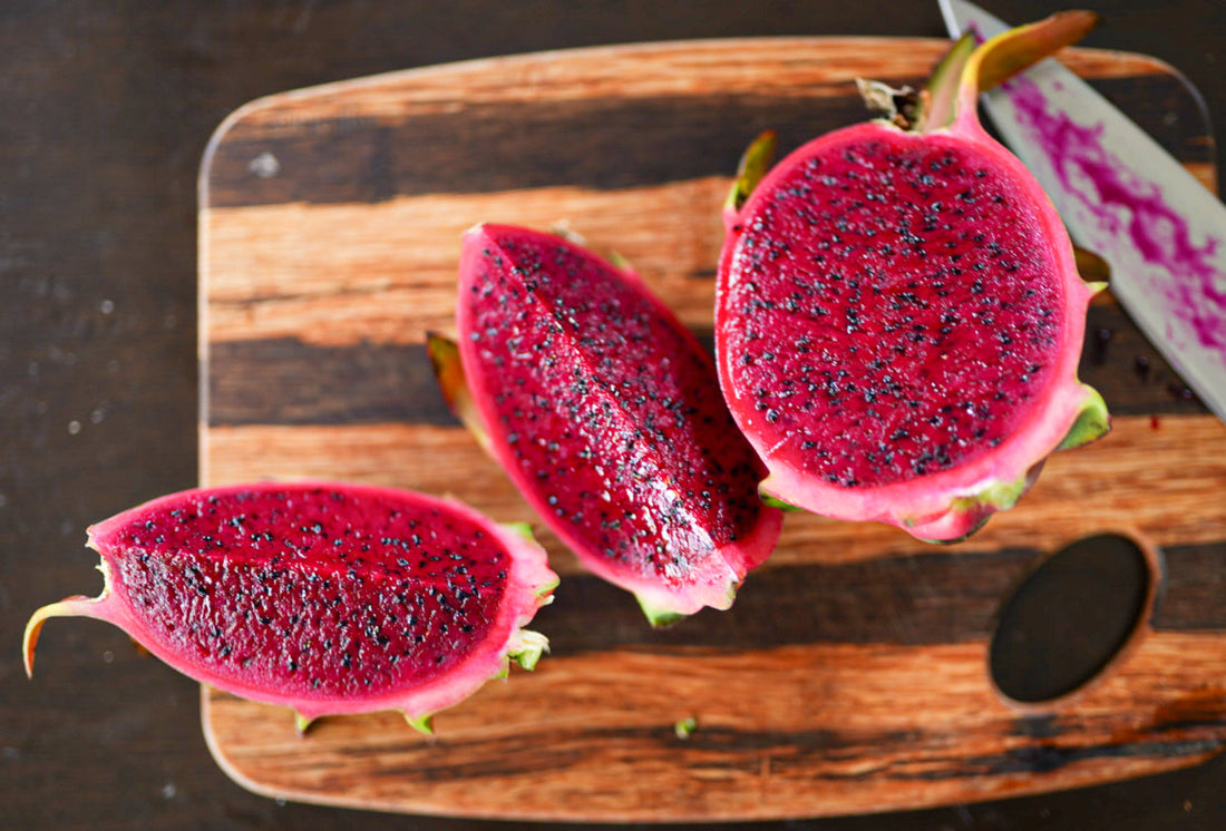 Dragonfruit - Windsor Red (ROOTED IN A POT) flyingdragonnursery