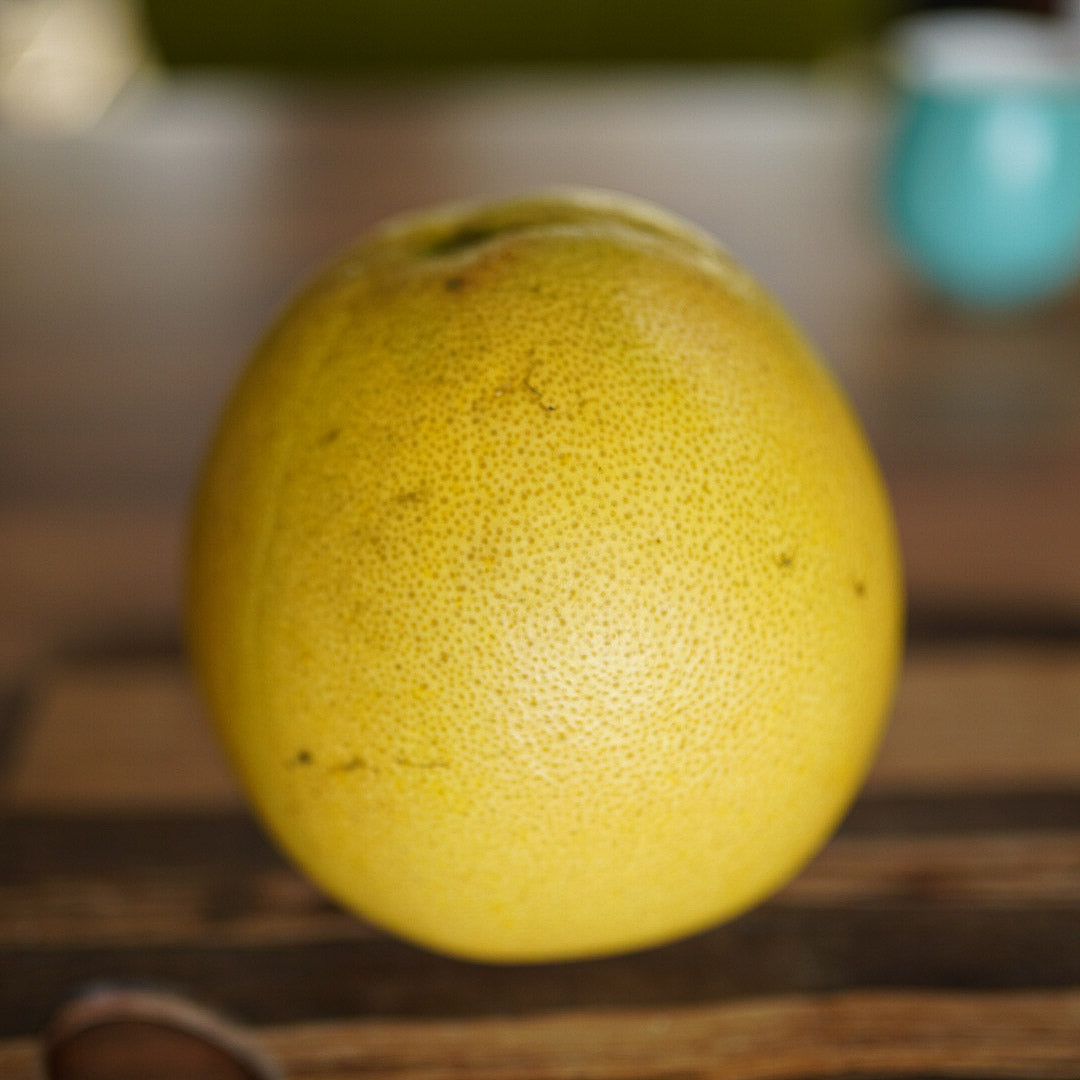 Pomelo - Pink flesh – flyingdragonnursery
