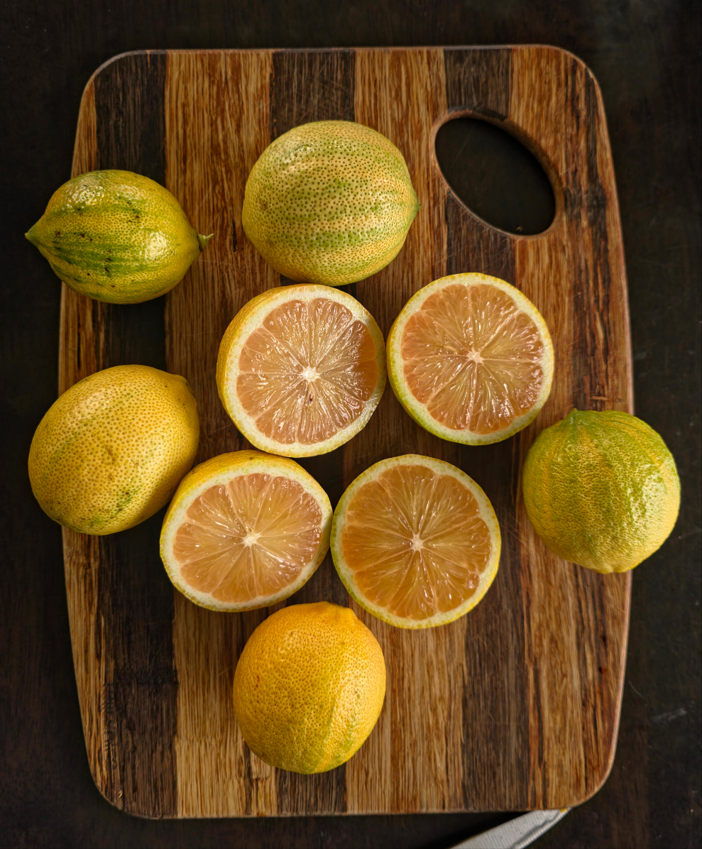 Lemon - Eureka Variegata
