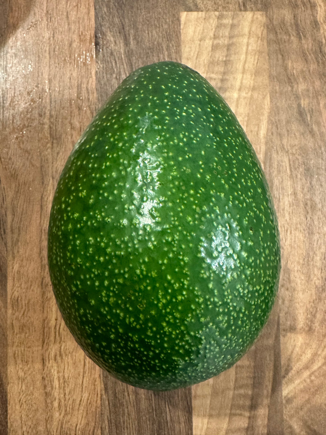 Avocado - Zutano - flyingdragonnursery