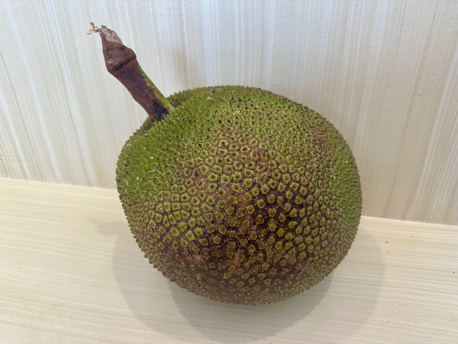 Jackfruit flyingdragonnursery