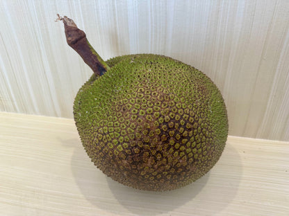 Jackfruit flyingdragonnursery