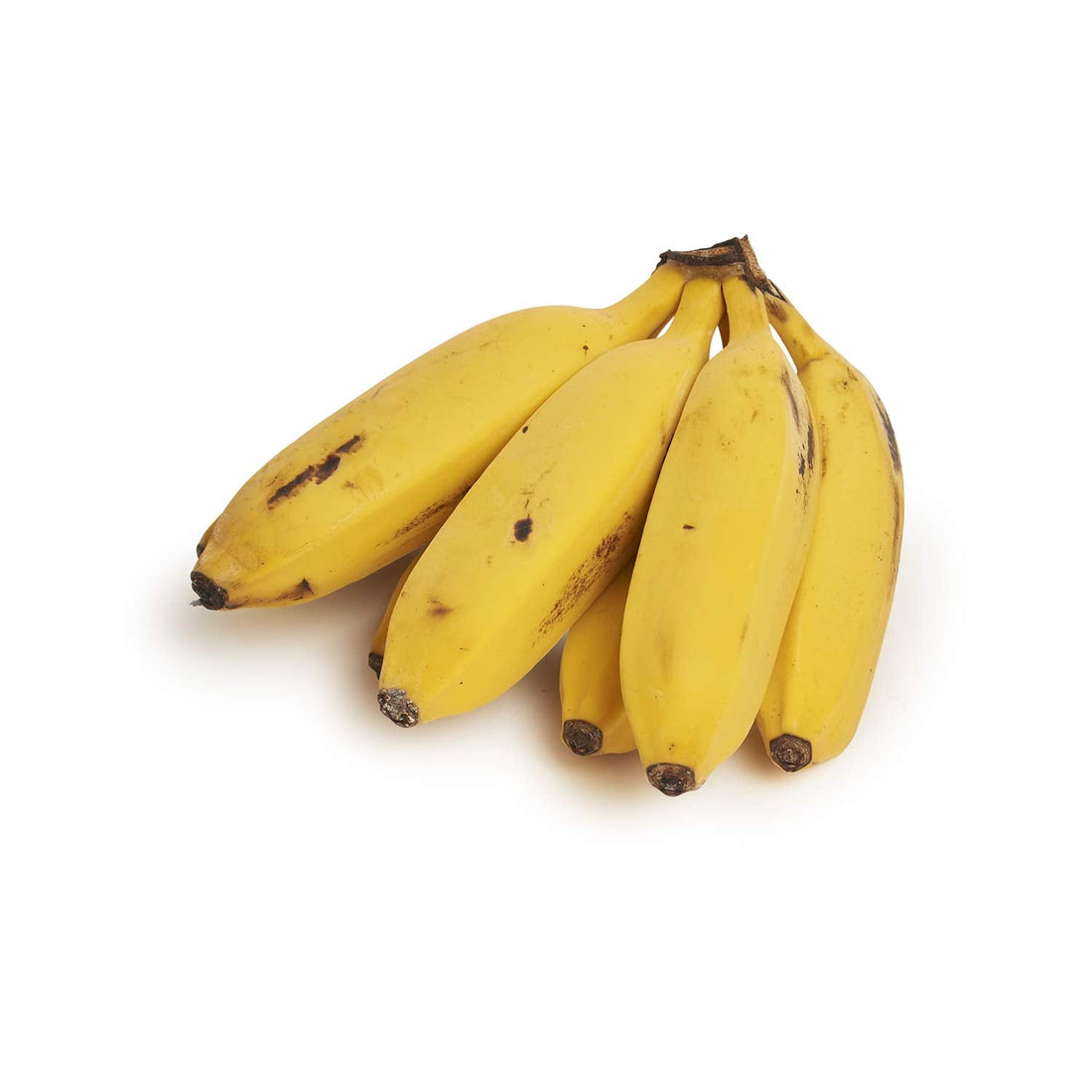 Banana- Improved Australian Lady Finger flyingdragonnursery