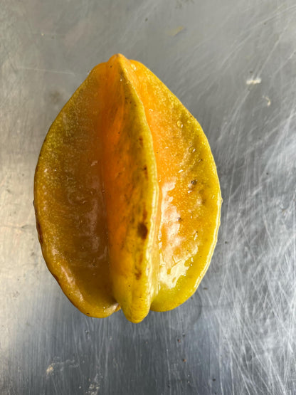 Carambola Starfruit - Aotearoa Gold - Grafted